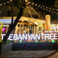 The Banyan Tree Community Mall